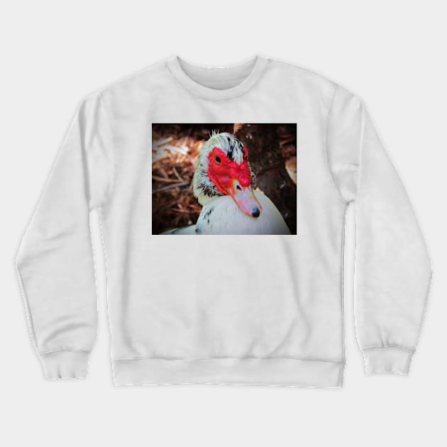 Muscovy Duck Crewneck Sweatshirt by Cynthia48